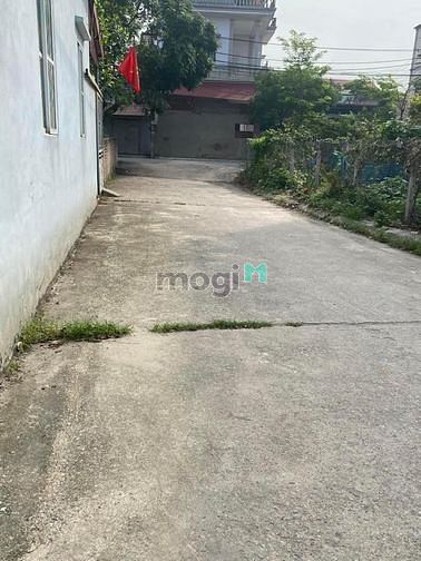 Hình ảnh Đất Vĩnh Ngọc, Oto. DT 51m2, MT 4.6m. Giá: 3 Tỷ