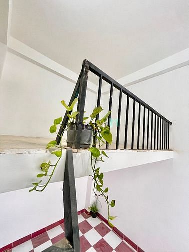 Hình ảnh Cho thuê phòng trọ quận Gò Vấp
