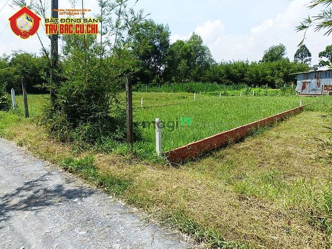 Hình ảnh Bán đất đường An Nhơn Tây - 232m2 - 8x29 - 218m2 thổ cư - xã An Nhơn