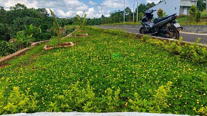 Hình ảnh Bán đất nền khu vực Bảo Lộc - Lâm Đồng