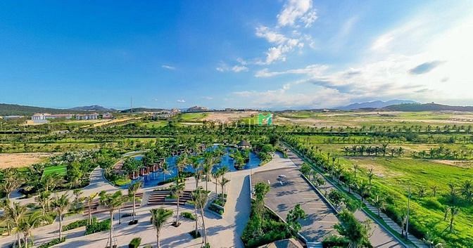 Hình ảnh Thanh lý giá siêu gốc KN Para Grus