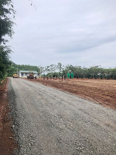 Hình ảnh Đất thổ cư KCN Lộc Ninh 205m2 439tr