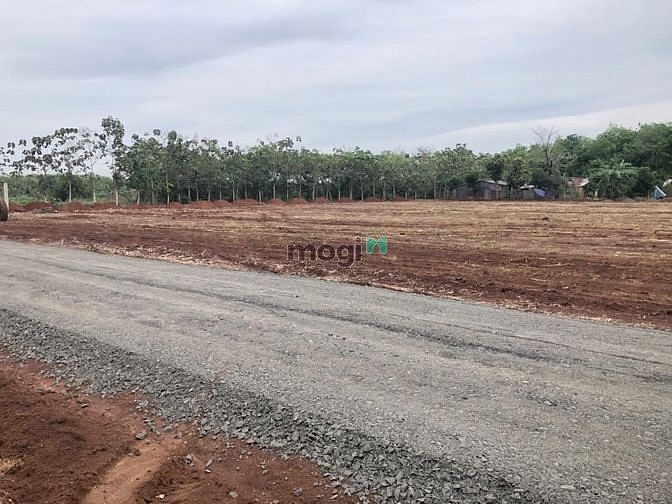 Hình ảnh Đất thổ cư KCN Lộc Ninh 205m2 439tr