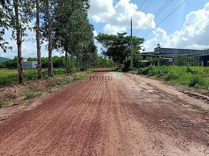 Hình ảnh Bán đất Minh Hòa, Dầu Tiếng, DT:34x77, SHR, giá 3,580 tỷ