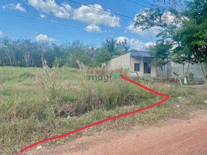 Hình ảnh Bán đất Minh Hòa, Dầu Tiếng, DT:34x77, SHR, giá 3,580 tỷ