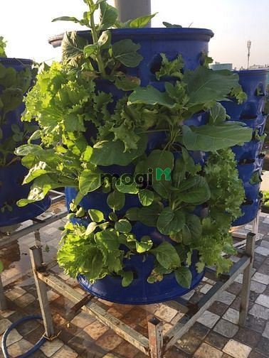 Hình ảnh Nhà [4x14] 2 lầu 3PN Đường số 6, Bình Hưng Hòa
