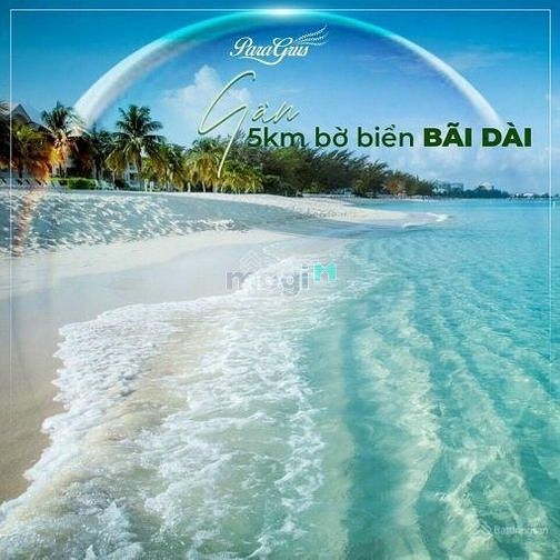 Hình ảnh Thanh lý gấp giá sập sàn KN Para Grus