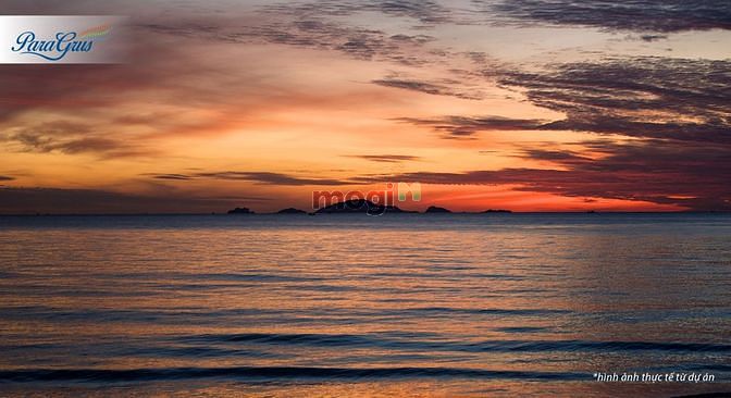 Hình ảnh Thanh lý đất nền KN ParaGrus-KN paradise