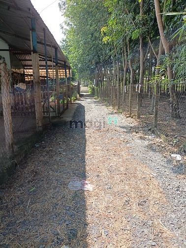 Hình ảnh Bán gấp lô đất Tân An Hội, Củ Chi 964m2 vuông vức đẹp đường trải đá