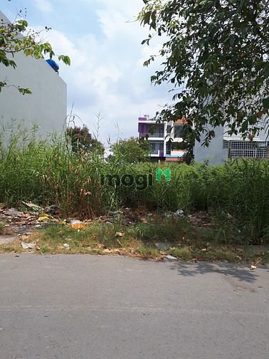 Hình ảnh Đất SHR trong khu Fivestar 1 Phước Lý, Cần Giuộc MT826 90m2 1.5 tỷ