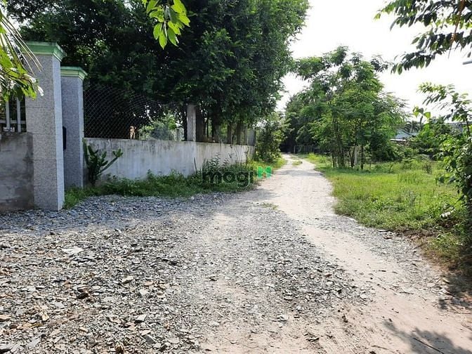 Hình ảnh Đất ngộp ở Đức Hòa Thượng. 200m2 thổ giá chỉ 1,25 tỷ. SHR.