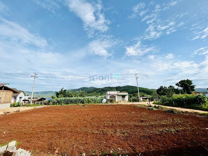 Hình ảnh Cần bán gấp lô đất 6x32.5, xã Tu Tra, Đơn Dương