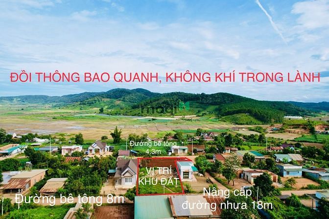 Hình ảnh Cần bán gấp lô đất 6x32.5, xã Tu Tra, Đơn Dương