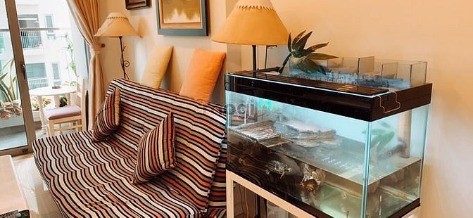 Hình ảnh Bán Trang Chủ MB66.COM / Đăng Ký Tặng 66K chung cư Phúc Thịnh. DT: 76m2 2PN. Giá: 2.9 tỷ