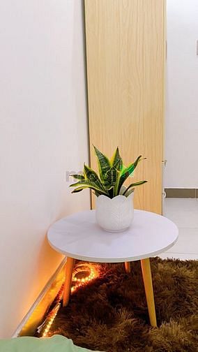 Hình ảnh Phòng trọ_FULL nội thất_Lê Lai_Tân Bình