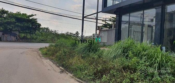 Hình ảnh Cần bán lô đất 50m2, nằm sát MTD Nguyễn Xiển