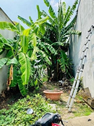 Hình ảnh 2,9 tỷ - đất 2 mặt hẻm 4m - sát chợ đêm Man Thiện - cực hiếm