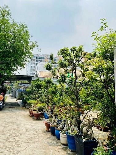 Hình ảnh 2,9 tỷ - đất 2 mặt hẻm 4m - sát chợ đêm Man Thiện - cực hiếm
