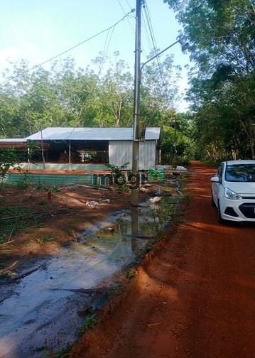 Hình ảnh Bán đất Long Hòa, Dầu Tiếng, DT:5x30, TC100m2, SHR, giá chỉ 690 triệu