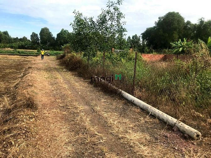 Hình ảnh Đất sổ riêng 125m2 cách đường Dt 769 300m khu dân cư đông