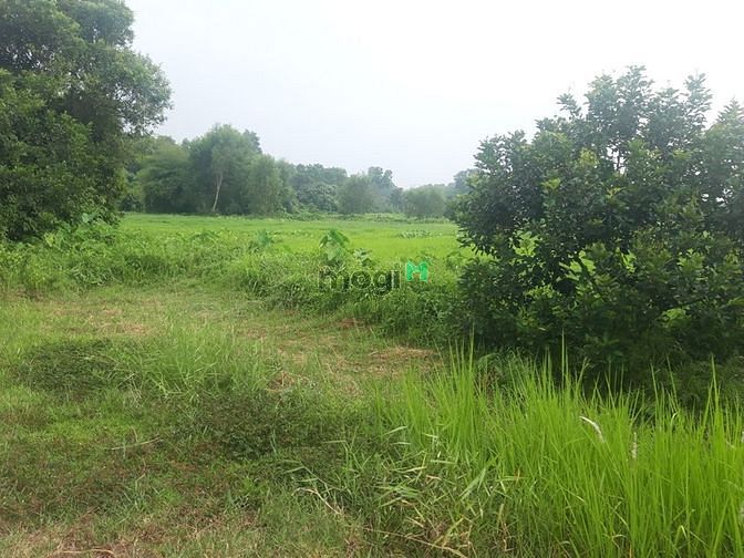 Hình ảnh Bán đất , An Nhơn Tây . củ chi