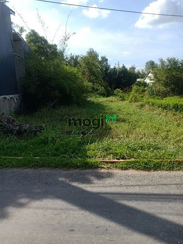 Hình ảnh Bán đất ngay sau UBND xã Mỹ Hạnh Bắc. Đường 6m. SHR CC ngay.
