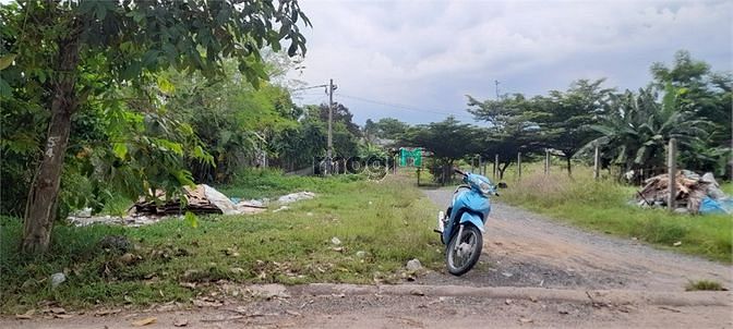 Hình ảnh Đất Lớn Hóc Môn Tiện Dựng Xưởng Xây Biệt Thự