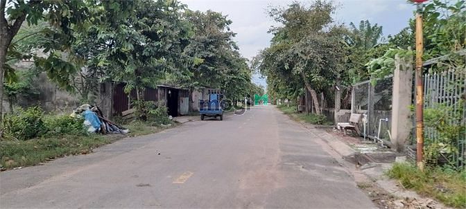 Hình ảnh Đất Lớn Hóc Môn Tiện Dựng Xưởng Xây Biệt Thự