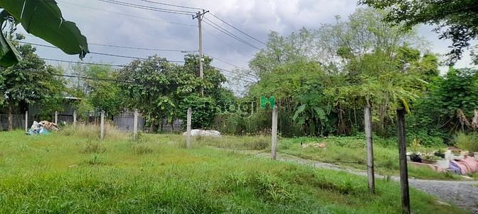 Hình ảnh Đất Lớn Hóc Môn Tiện Dựng Xưởng Xây Biệt Thự