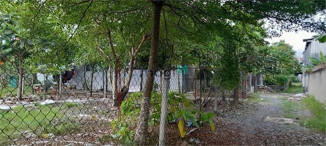 Hình ảnh Đất Lớn Hóc Môn Tiện Dựng Xưởng Xây Biệt Thự