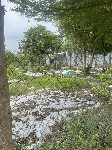 Hình ảnh Đất Lớn Hóc Môn Tiện Dựng Xưởng Xây Biệt Thự