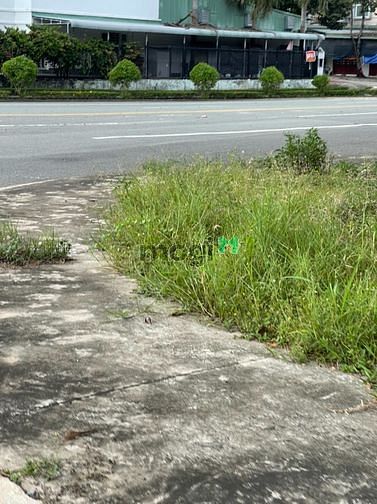 Hình ảnh Đất trung tâm thành phố - khu biệt thự cao cấp Wester land