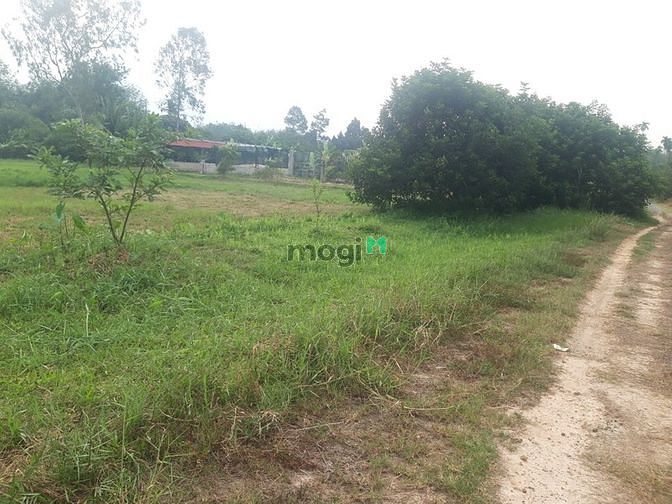 Hình ảnh Bán đất vườn giá rẻ An Nhơn Tây