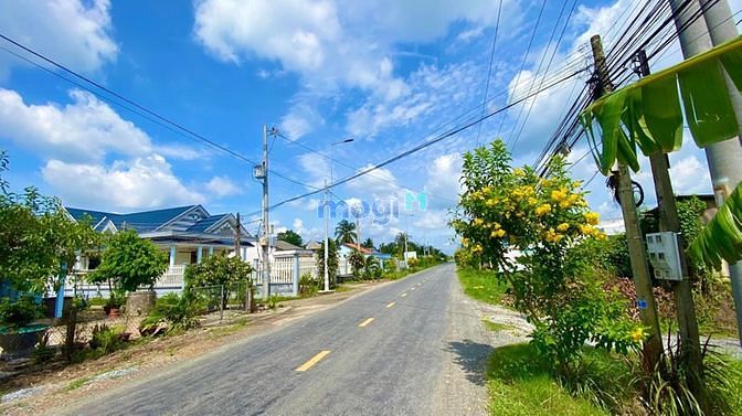 Hình ảnh Bán 5800m2 lúa MT đường DT833B Khu Đông Dân hiện hữu sẵn