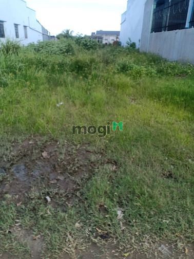 Hình ảnh Đất rẻ MT đường 825. TT Đức Hòa. Khu vực sắp lên thành phố.