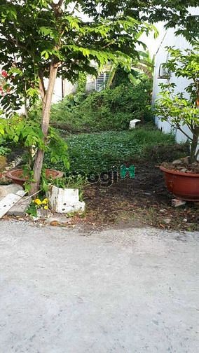 Hình ảnh nền thổ cư hẻm nhánh hẻm 54 Công Binh Long Hoà Bình Thủy