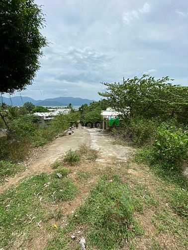 Hình ảnh Đất đồi view biển thôn Cát Lợi - Vĩnh Lương - Nha Trang 2tr/m