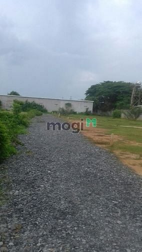 Hình ảnh Đất ngang 10m bên hong nhà máy in ấn Phước Đông chủ 1,2tỷ