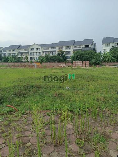Hình ảnh Bán đất dịch vụ La Phù, Hoài Đức, 111m2, KD, ô tô tránh, giá 9 tỷ
