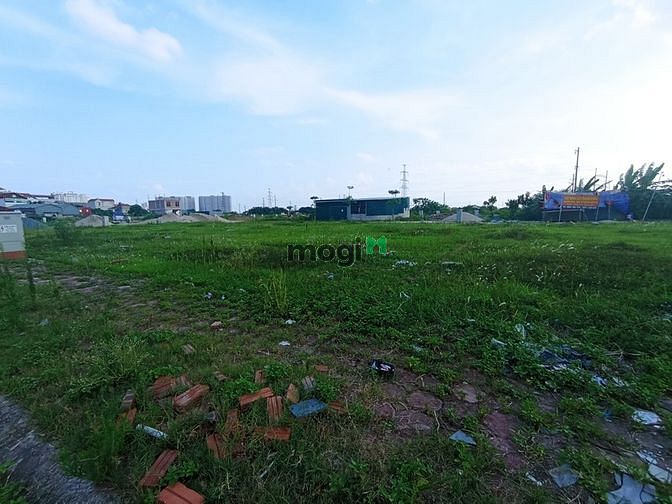 Hình ảnh Bán đất dịch vụ La Phù, Hoài Đức, 111m2, KD, ô tô tránh, giá 9 tỷ