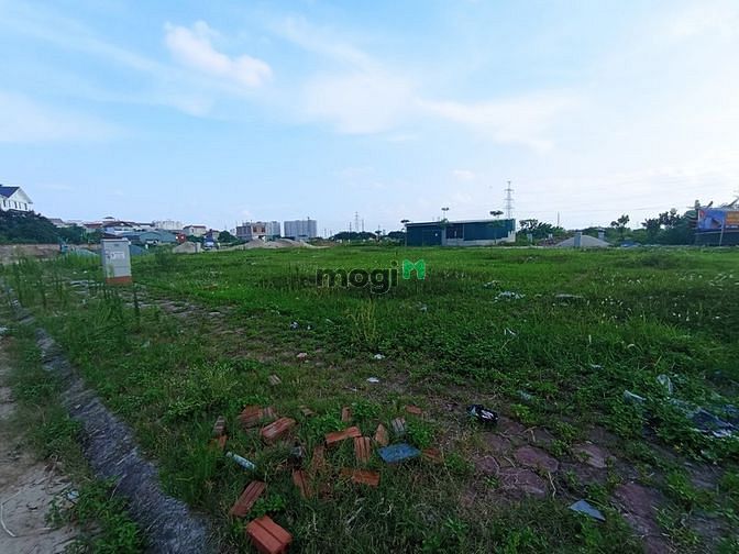 Hình ảnh Bán đất dịch vụ La Phù, Hoài Đức, 111m2, KD, ô tô tránh, giá 9 tỷ