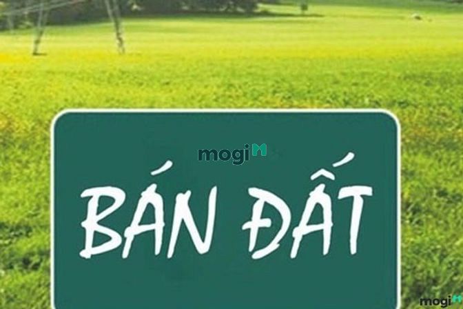 Hình ảnh Cần bán lô đất mặt tiền đường số 6, Hưng Phước 4, mặt tiền đường lớn