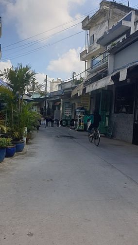 Hình ảnh Bán nhà hẻm đường SinCo, Bình Trị Đông B, Bình Tân, 5.6x15m, cấp 4