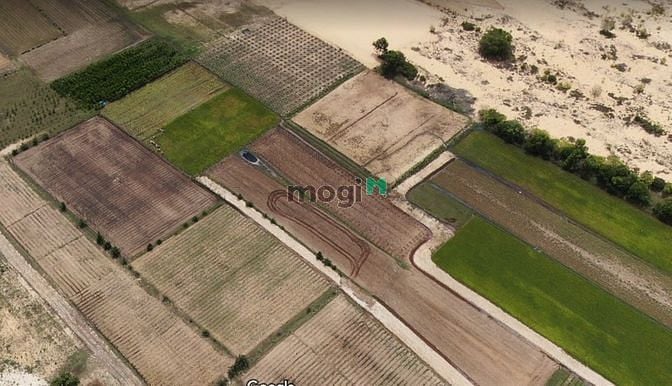 Hình ảnh Cần bán gấp lô đất quy hoạch thổ cư 3036m2 Hòa Thắng, cách biển 2,5km