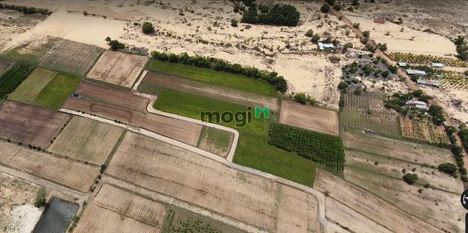 Hình ảnh Cần bán gấp lô đất quy hoạch thổ cư 3036m2 Hòa Thắng, cách biển 2,5km