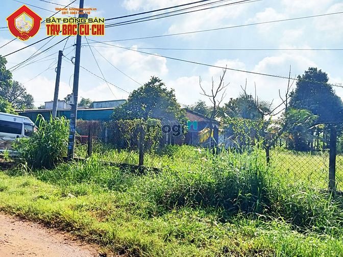 Hình ảnh Bán đất đường trần thị dư - 516m2 - 12x43 - xã tân an hội - củ chi