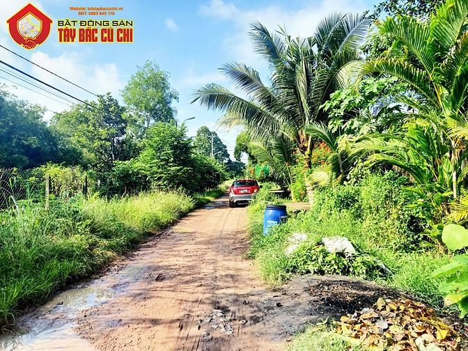 Hình ảnh Bán đất đường trần thị dư - 516m2 - 12x43 - xã tân an hội - củ chi