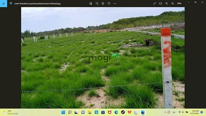 Hình ảnh Bán đất khu rừng vàng xã Tân Bình, thị xã La Gi, Bình Thuận,