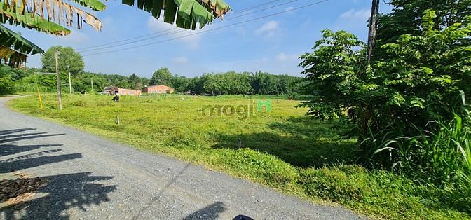 Hình ảnh Cần bán đất thổ cư Phước An -Phước Thạnh -Gò Dầu - Tây Ninh