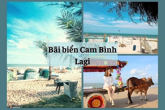Hình ảnh Lô Gần Biển Chỉ với Giá 9 tỷ 099 ,DT 964,7m2 ,Tân Phước,TX.LAGI,Bình